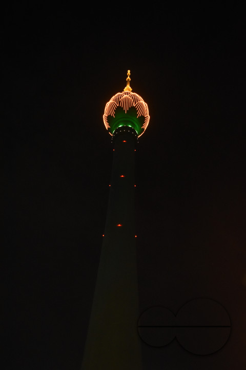 MW155361