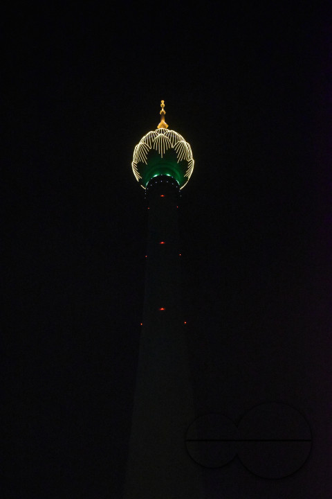 MW155362
