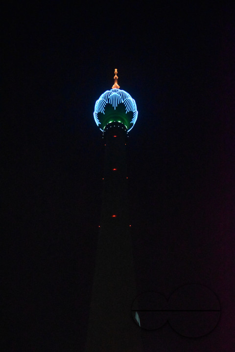 MW155363