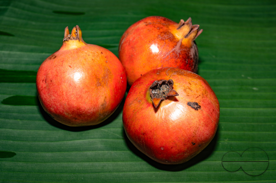 Anar Fruit - Pomegranate - Punica Granatum