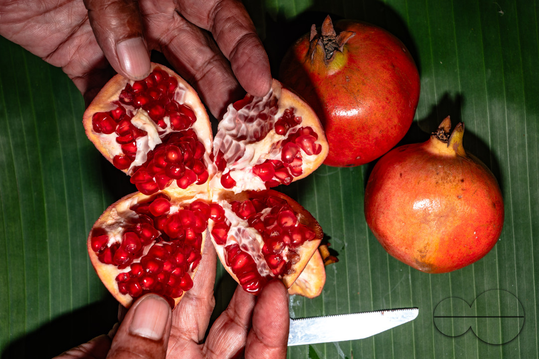 Anar Fruit - Pomegranate - Punica Granatum
