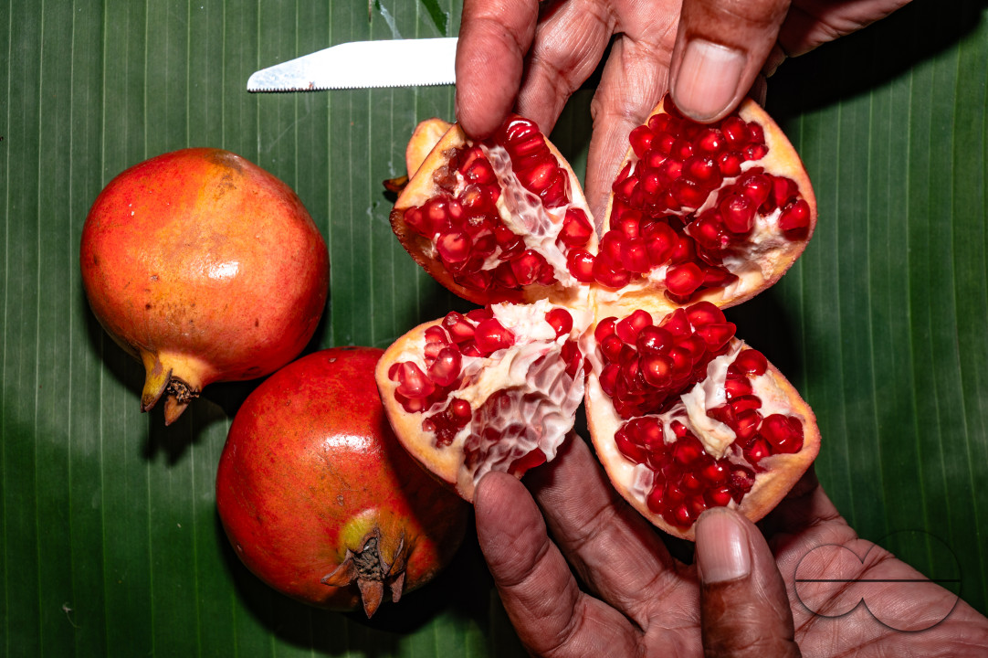 Anar Fruit - Pomegranate - Punica Granatum