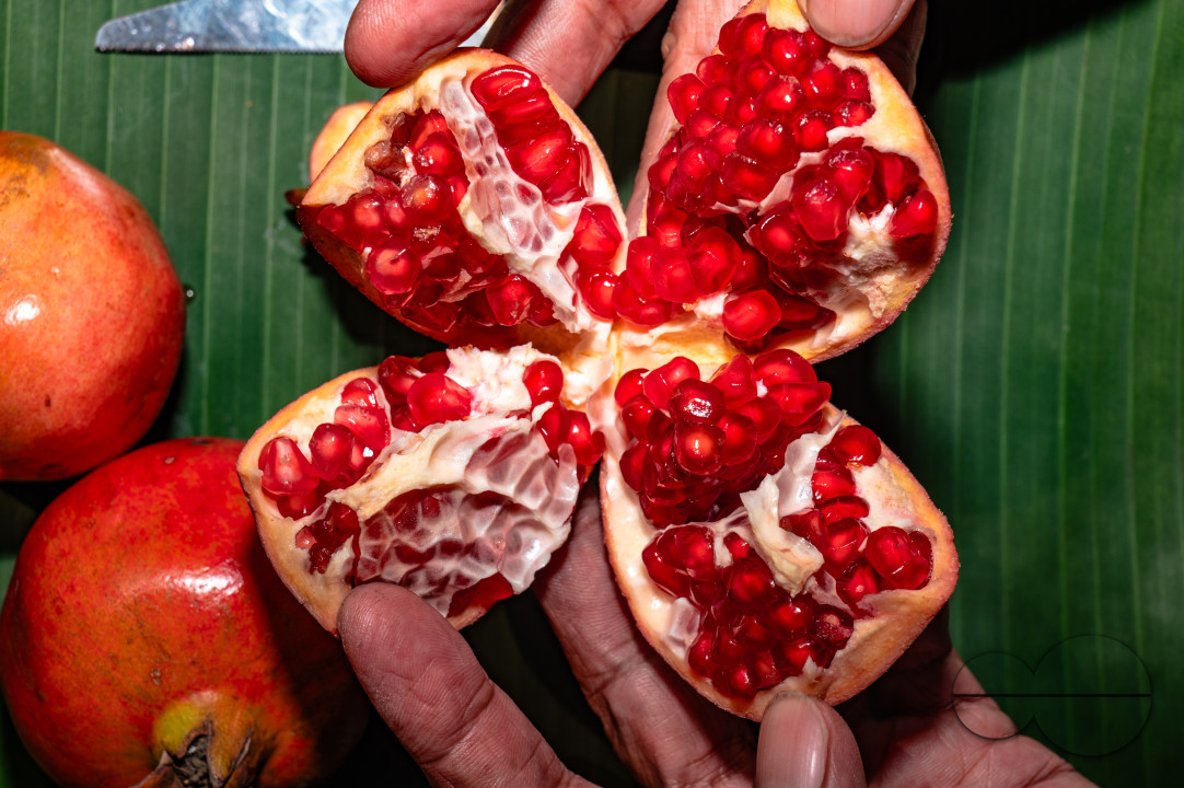 Anar Fruit - Pomegranate - Punica Granatum
