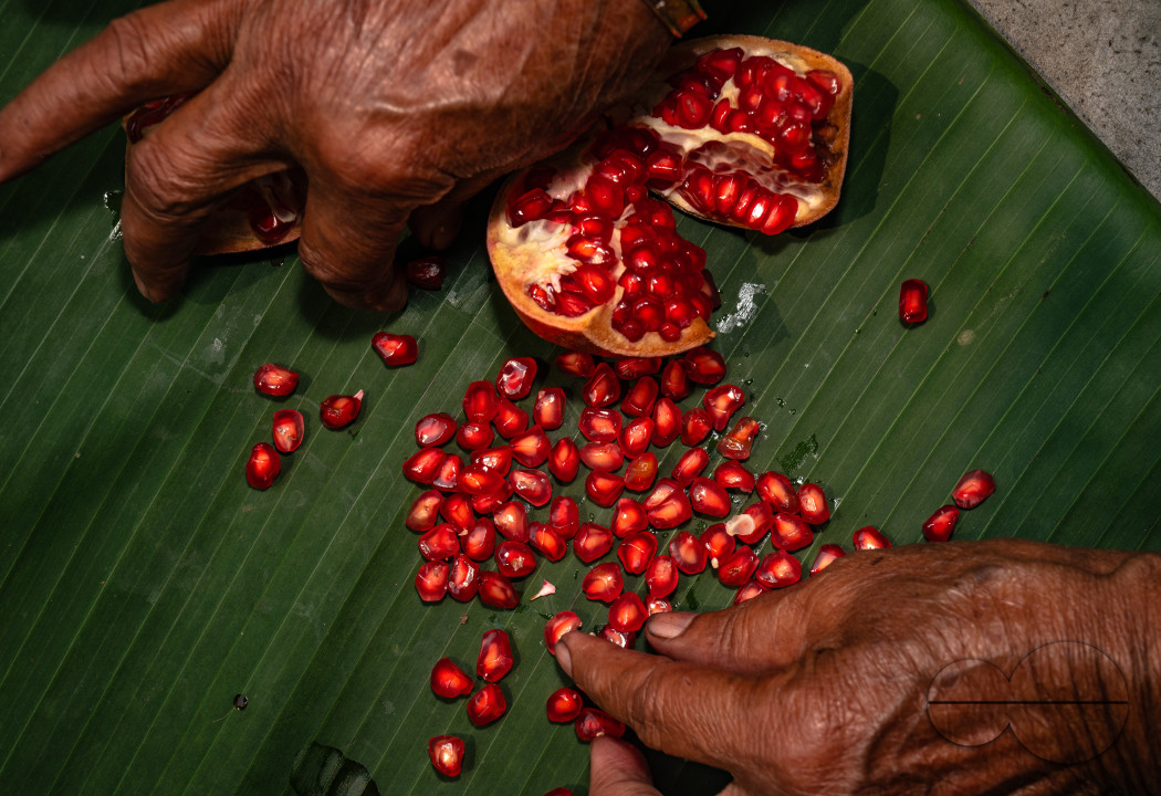 Anar Fruit - Pomegranate - Punica Granatum