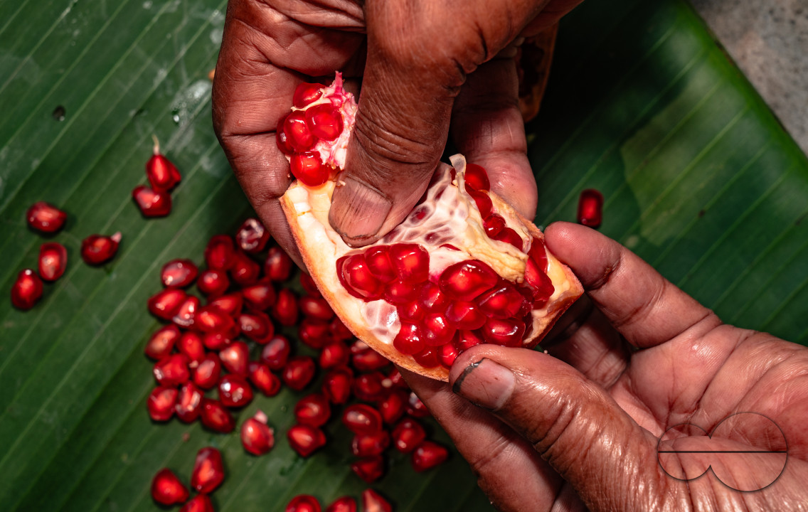 Anar Fruit - Pomegranate - Punica Granatum