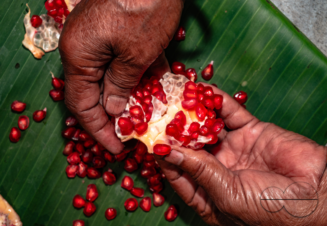 Anar Fruit - Pomegranate - Punica Granatum