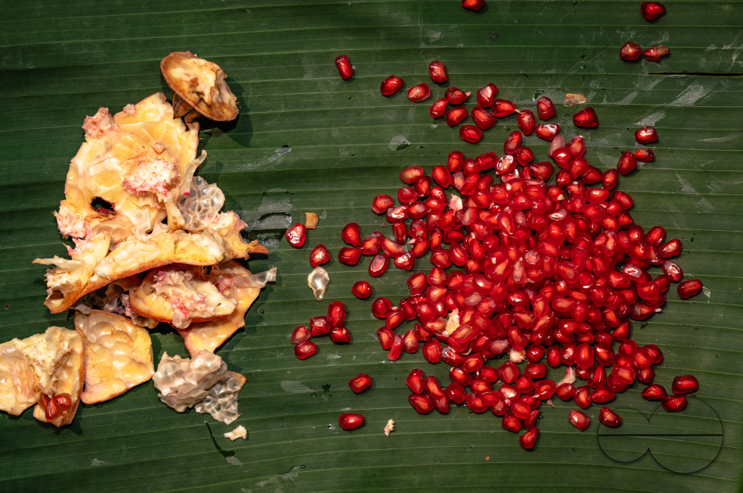 Anar Fruit - Pomegranate - Punica Granatum