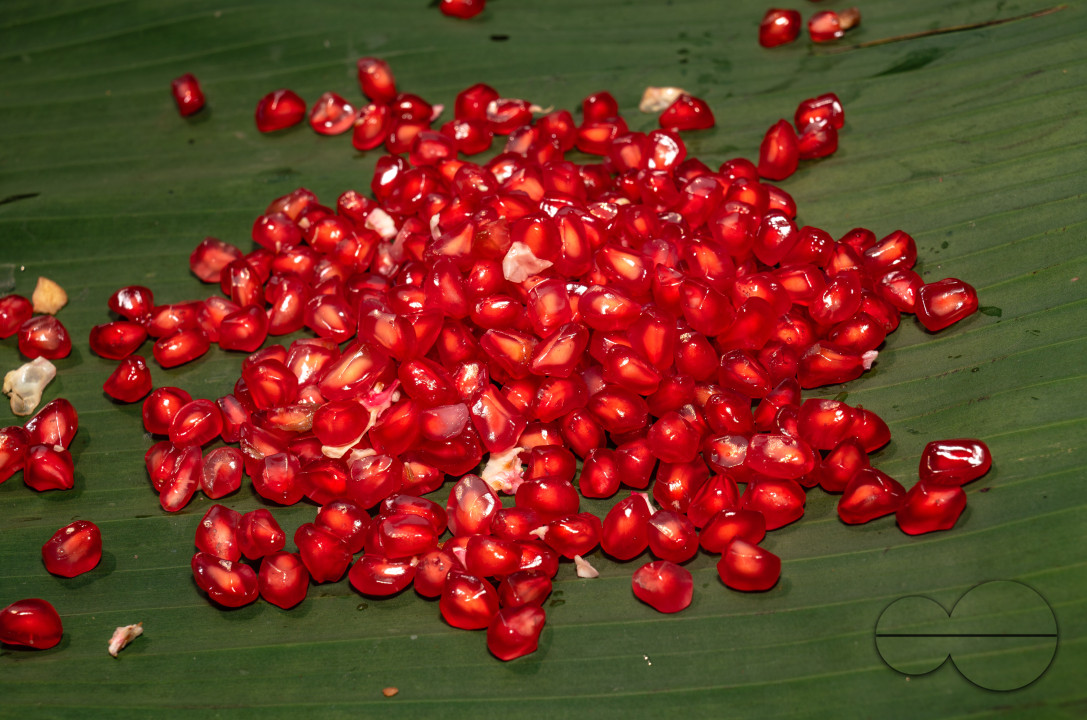 Anar Fruit - Pomegranate - Punica Granatum