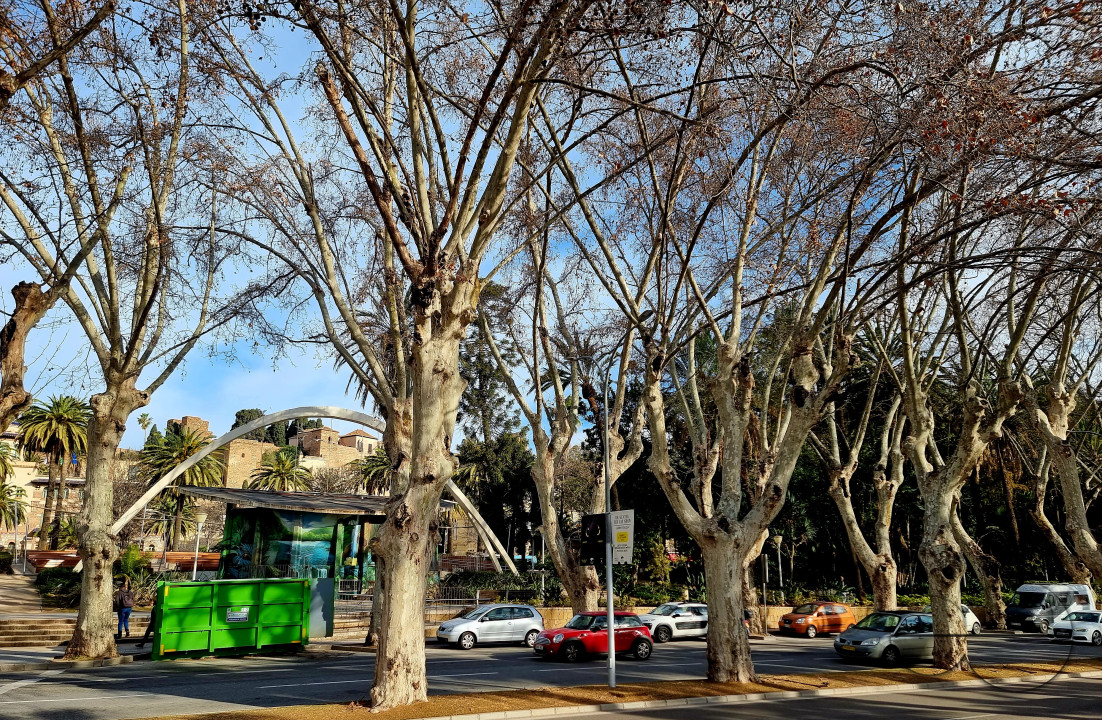 MW160208