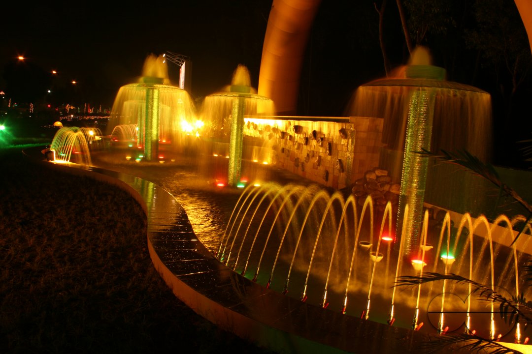 MWC08677