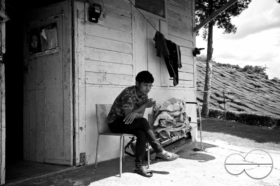 Migrants in Malaysia's tea estates