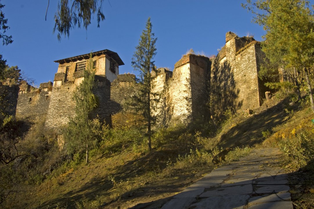 MWC012792
