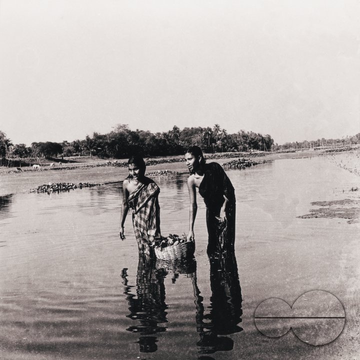 MWC008213
