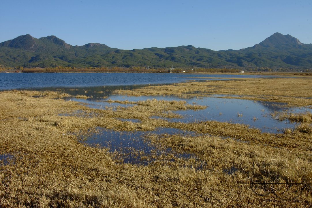 MWC004293