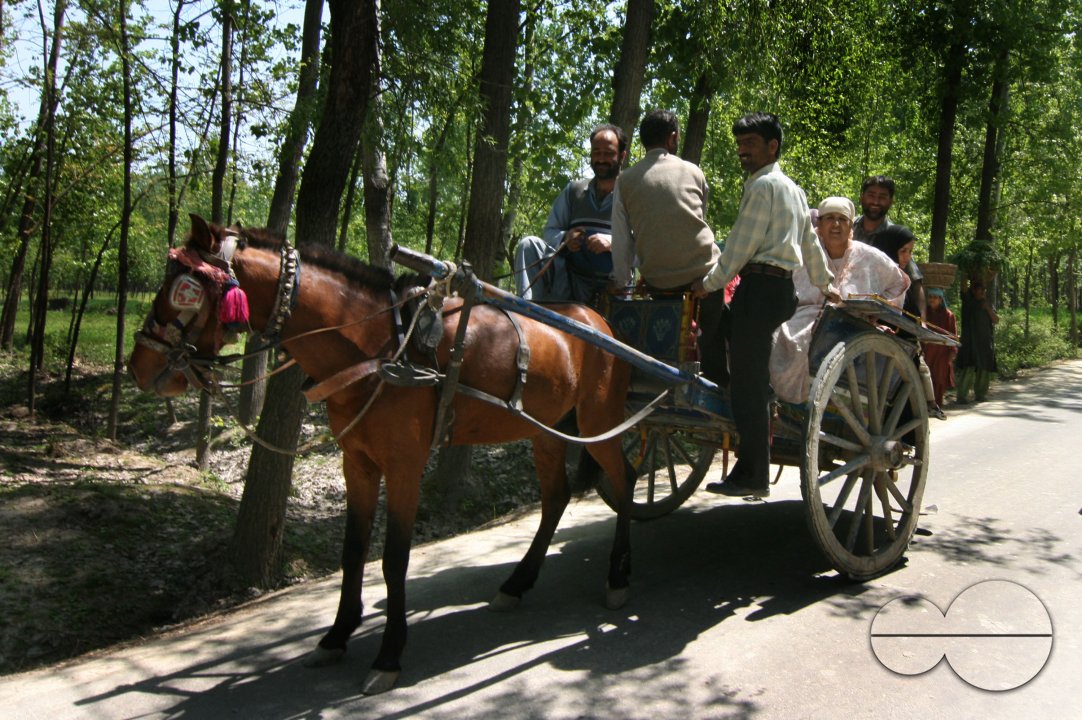 MWC010514