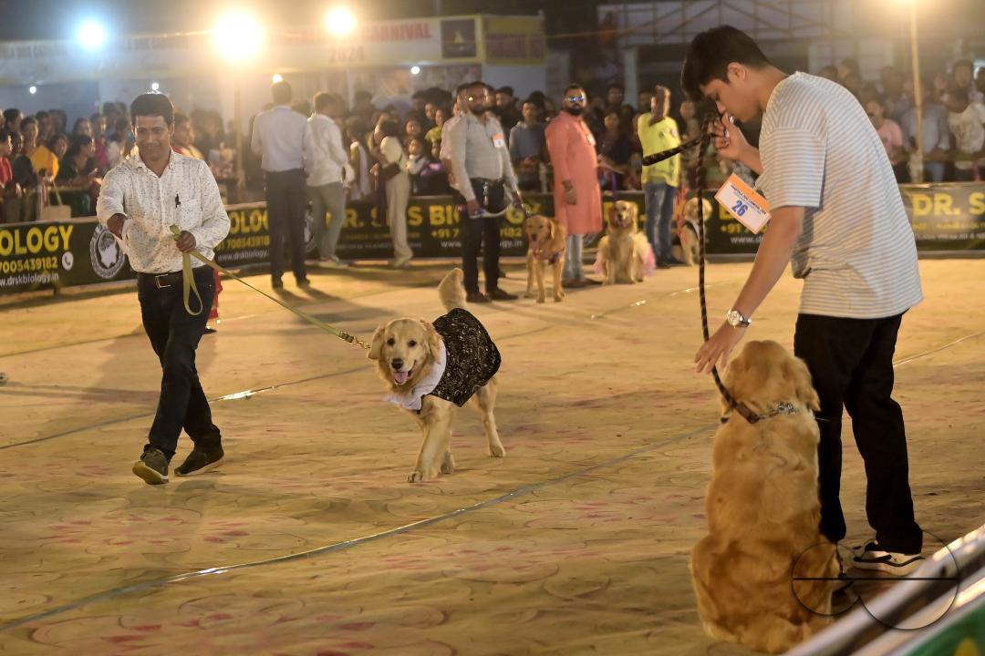 Dogs performing trainers during the Agartala Dog Carnival-2024, organized by Tripura Veterinary Doctors Association & Pawsome (A social organisation) at Agartala