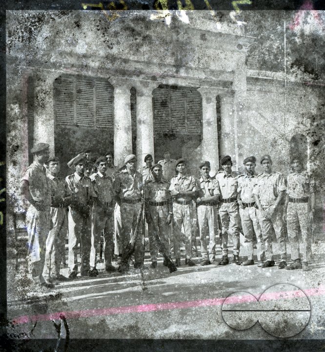 MWC008517