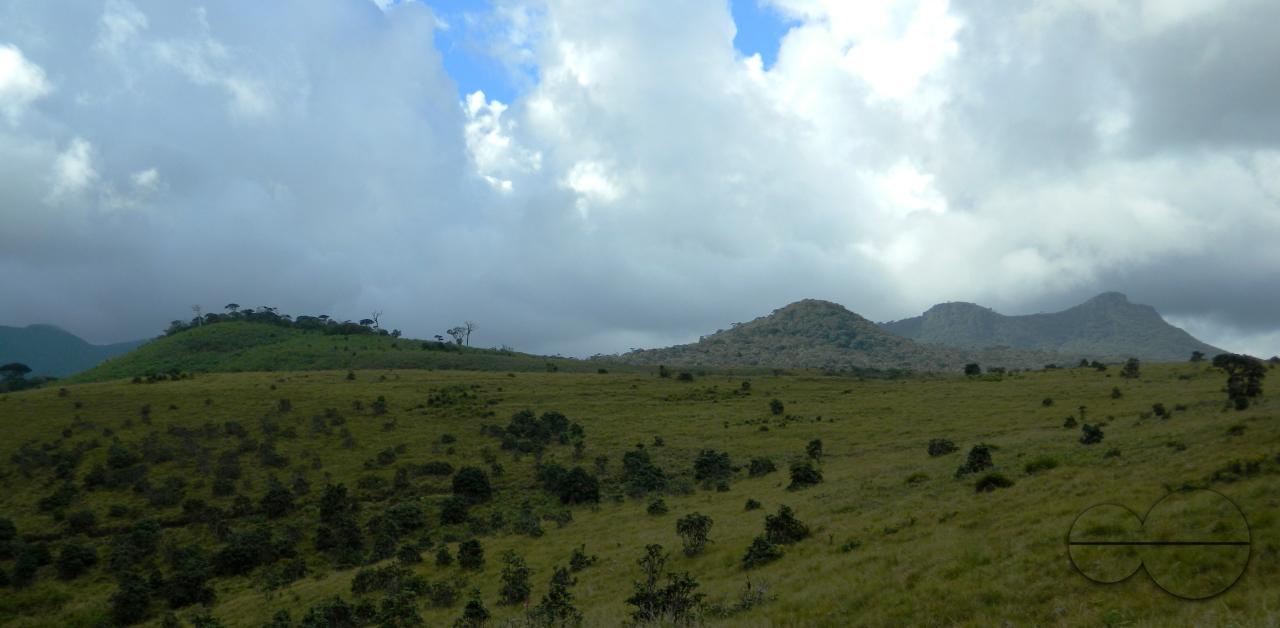 MWC052401