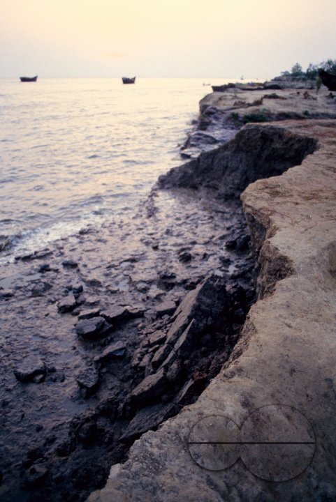 MWC004455