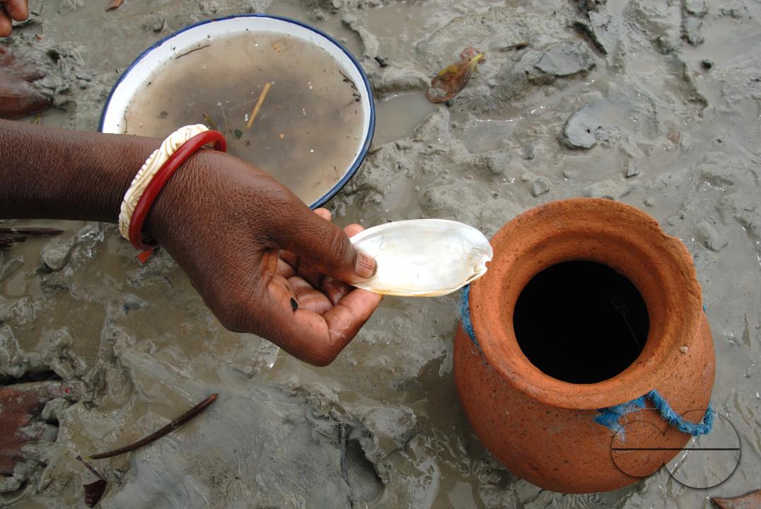 MWC058902
