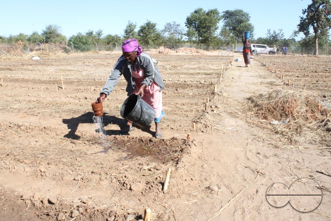 A woman is seen watering her garden