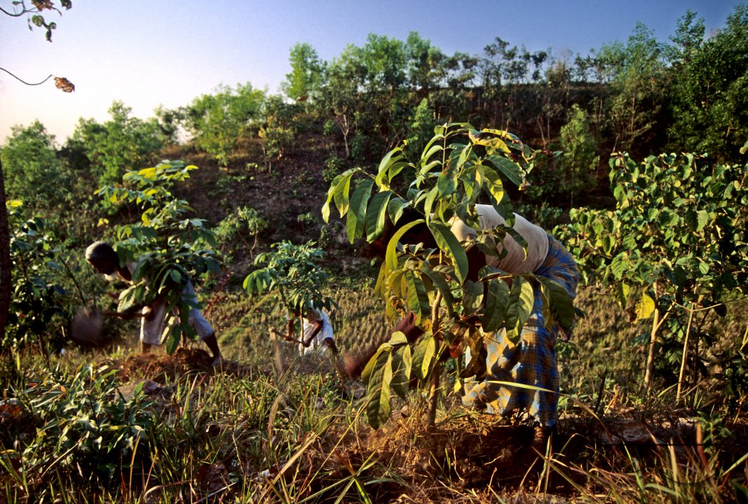MWC002795
