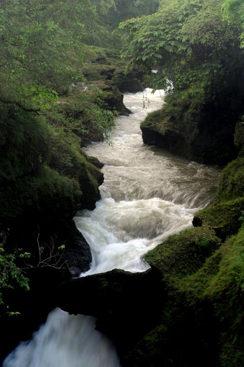 MWC024403