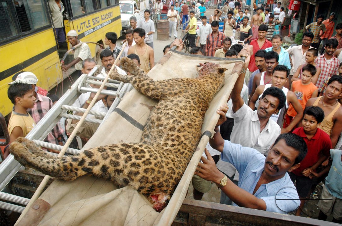MWC06069