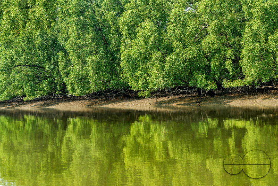 Sundarbans