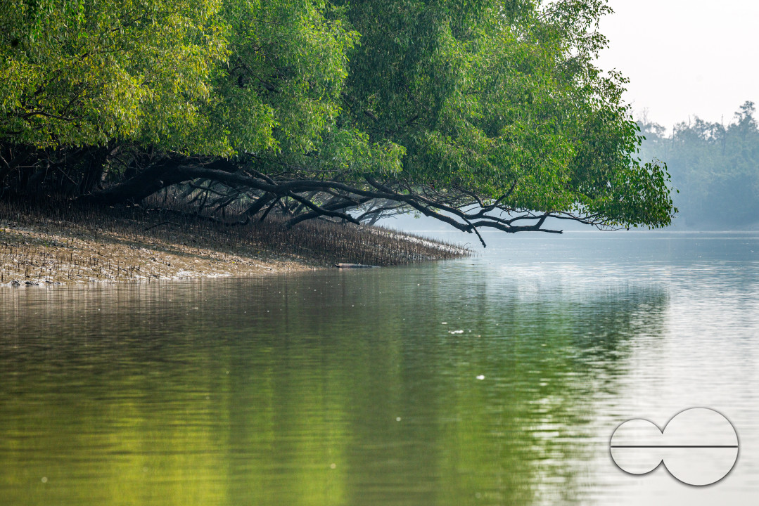 Sundarbans