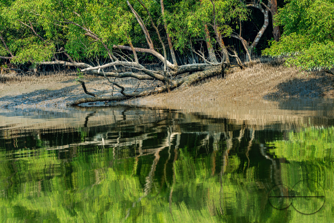 Sundarbans