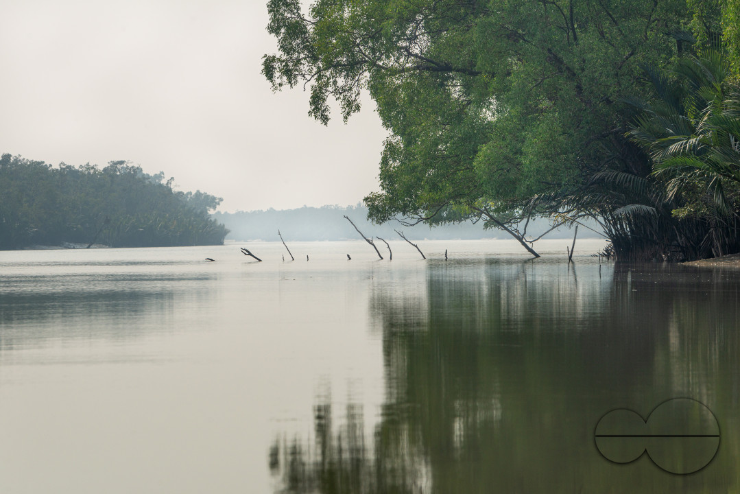 Sundarbans