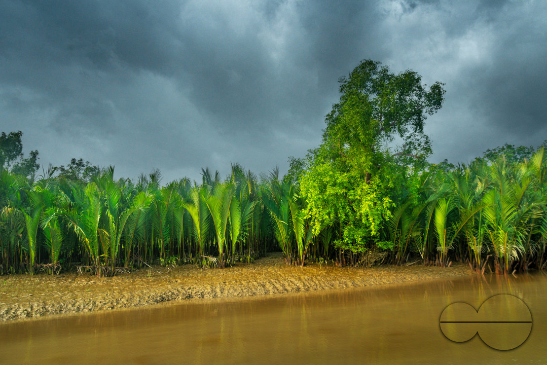 Sundarbans
