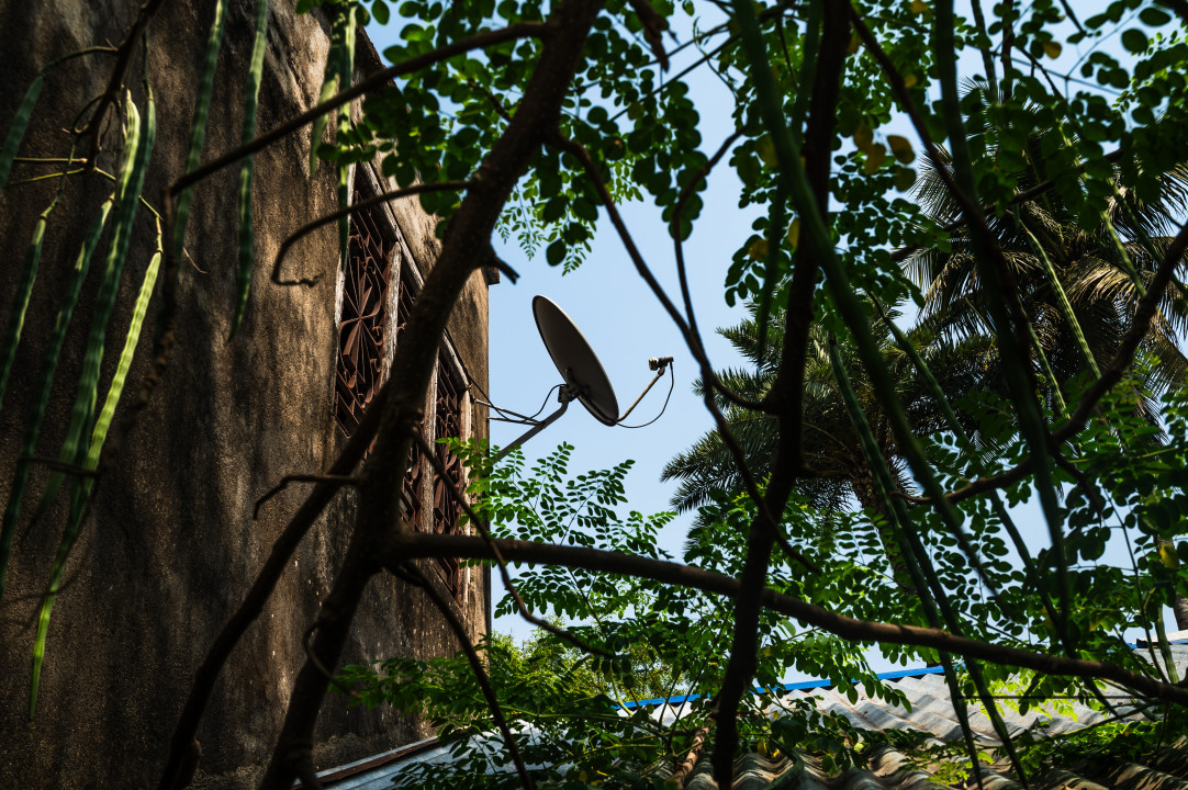 DTH In India