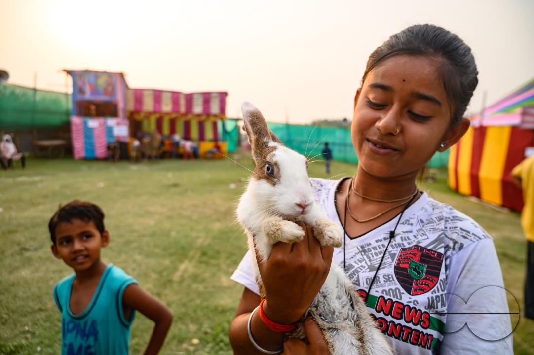 A young village girl and her brother visit the fair with their pet rabbit