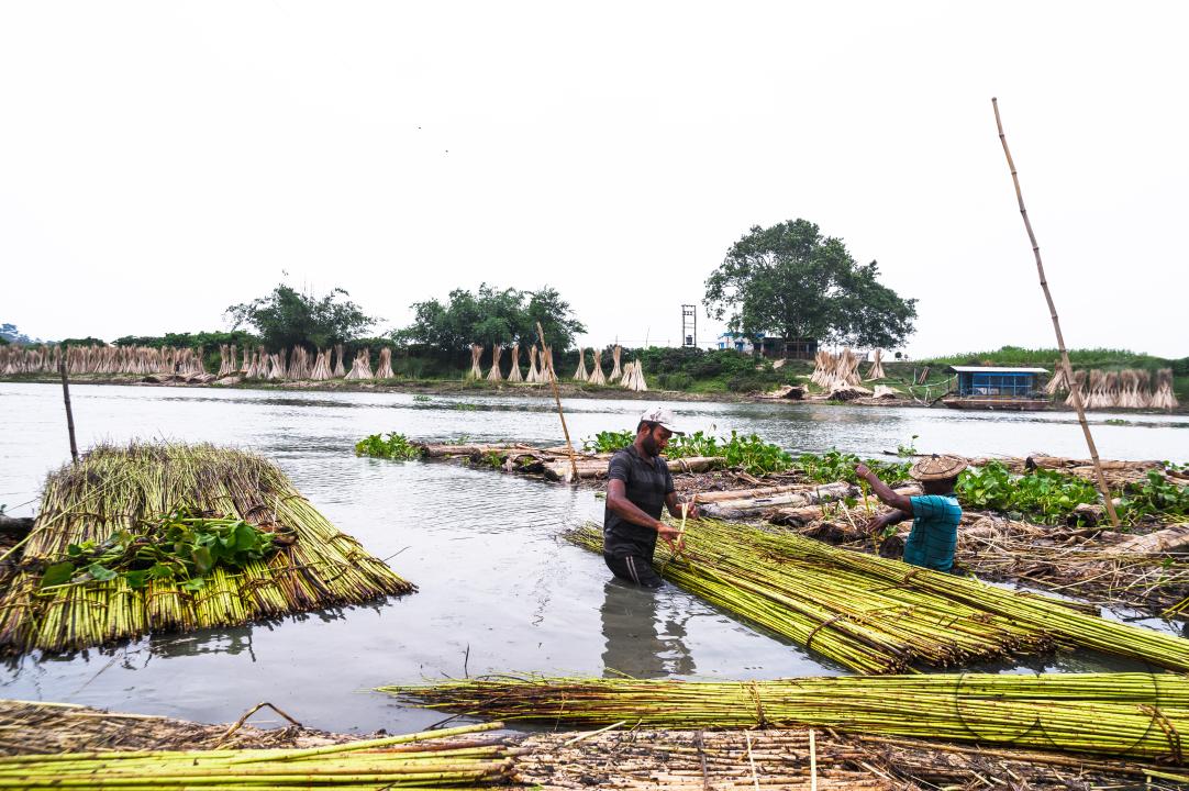 The Asia Pacific region, led by major jute producer India, dominates the Jute Bags Market