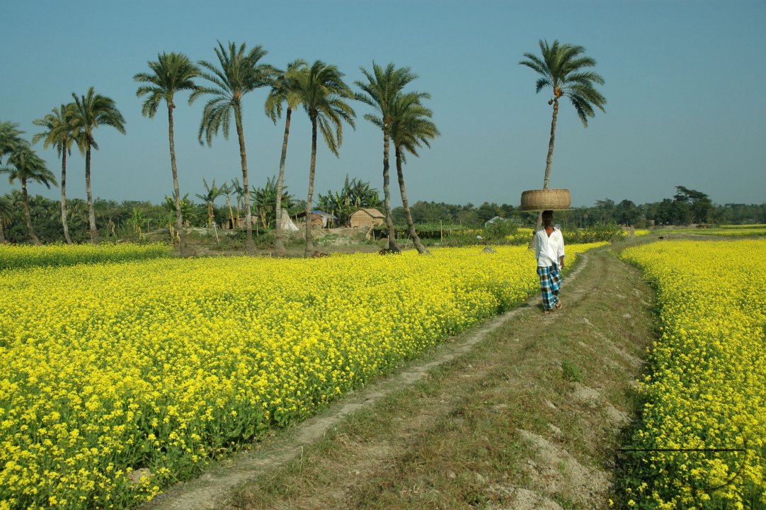 MWC011841