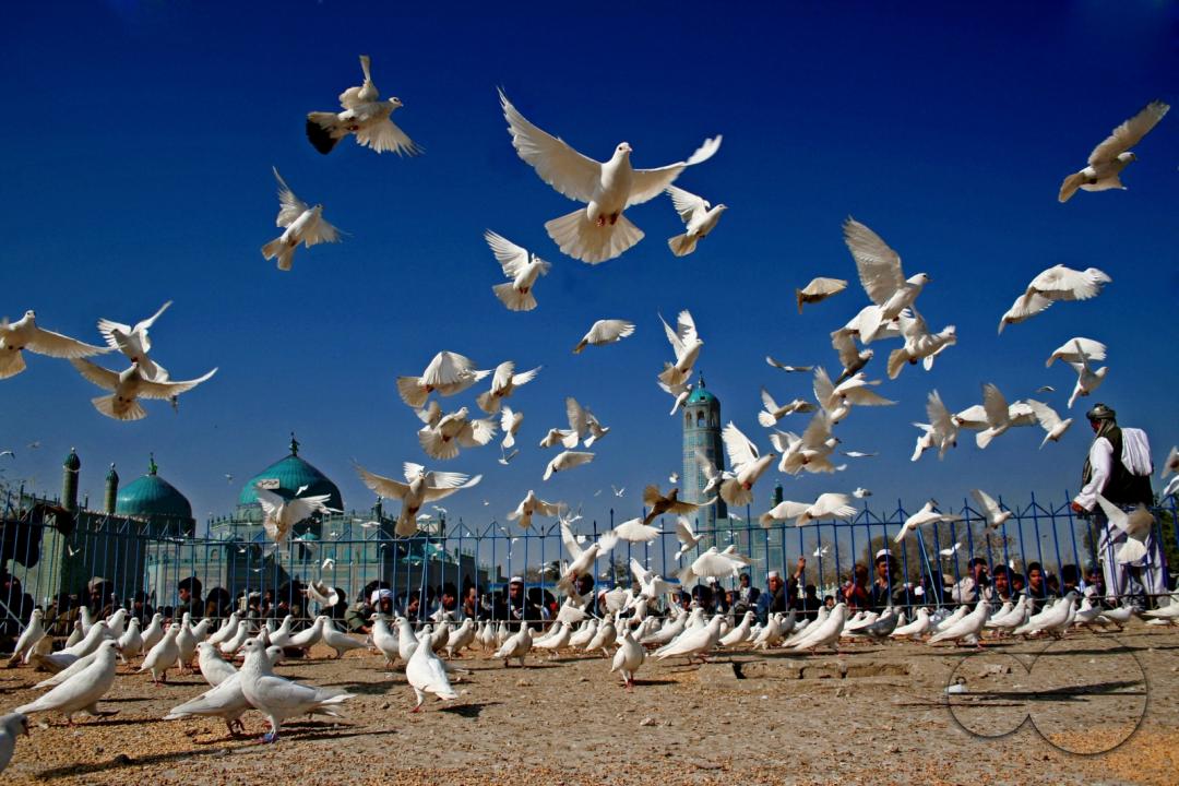 Nowroz (New Year), Mazar-e-Sharif