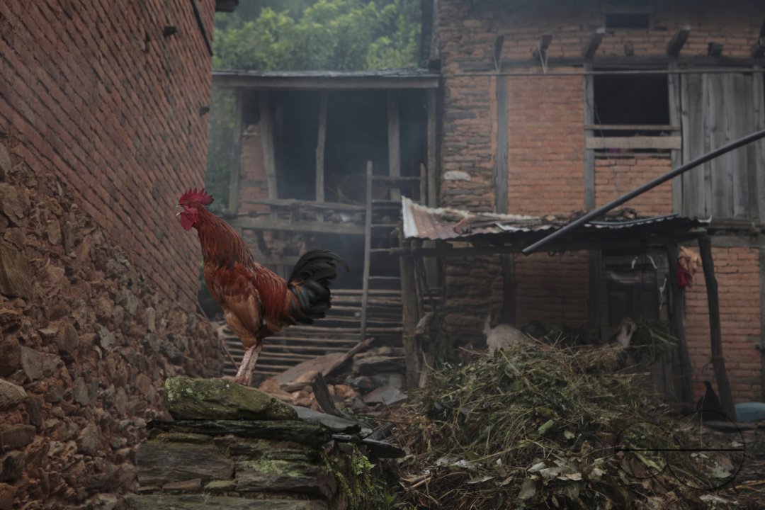 Nepal