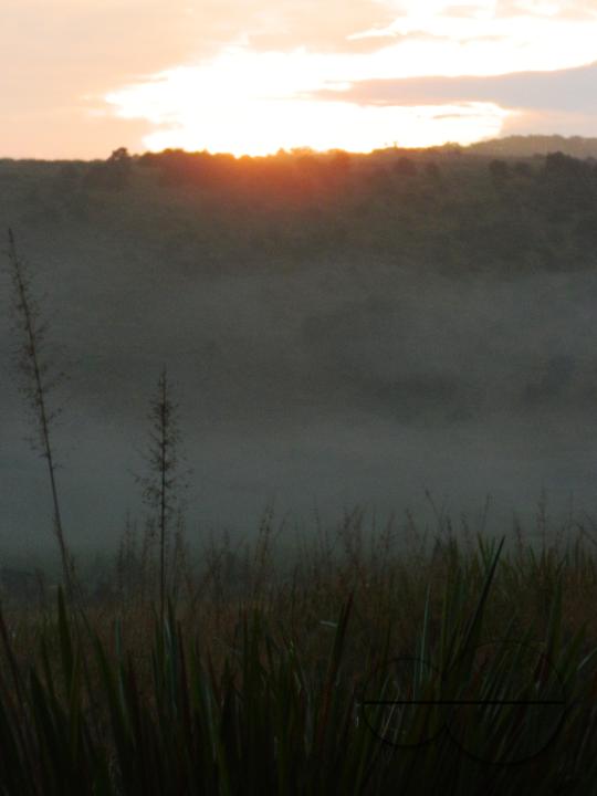 MWC052382