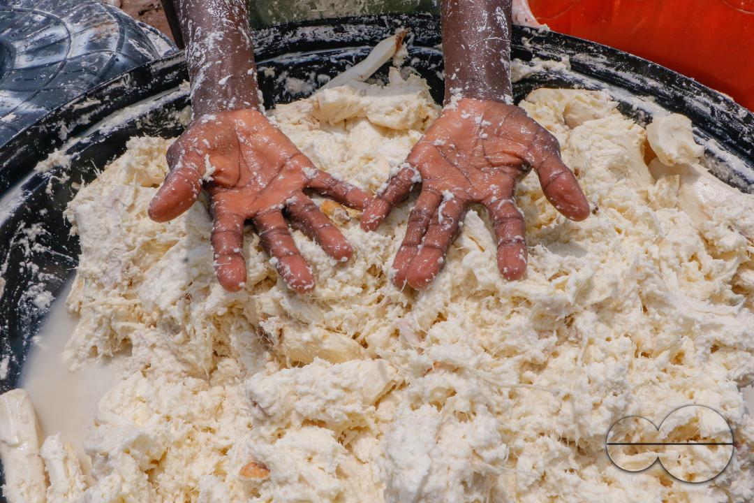 Females in Abuja are struggling and making strides in a local cassava processing factory under difficult conditions to produce flour as they wash out chaff from fermented cassava