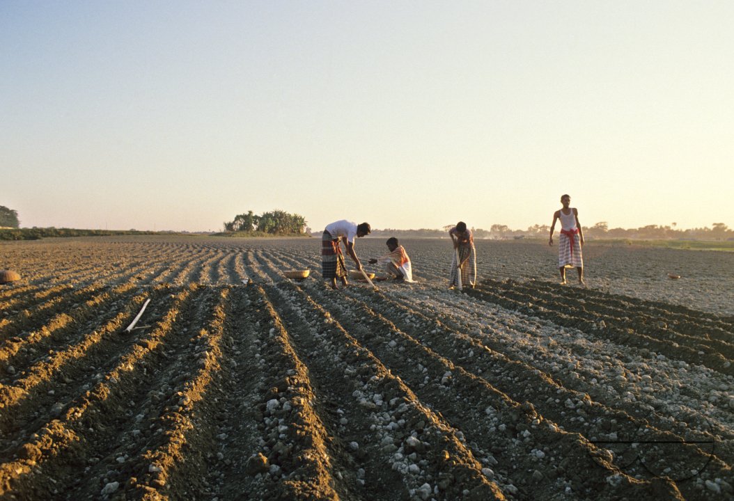 MWC002788