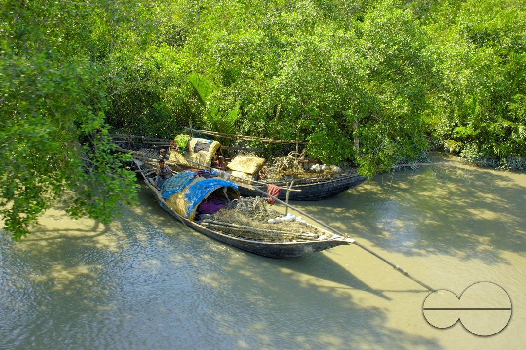 MWC002347