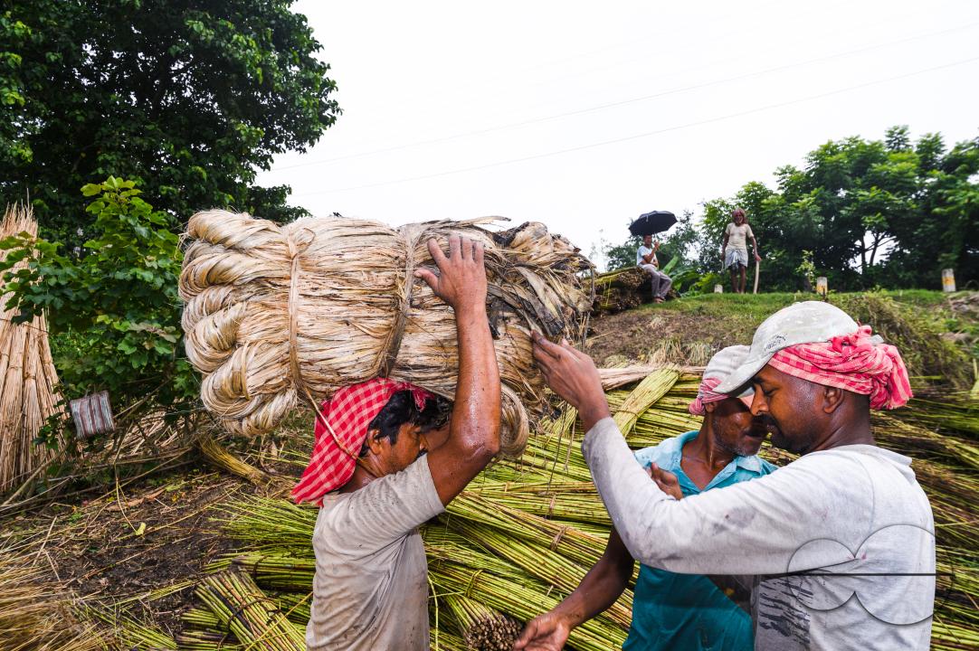 The Asia Pacific region, led by major jute producer India, dominates the Jute Bags Market
