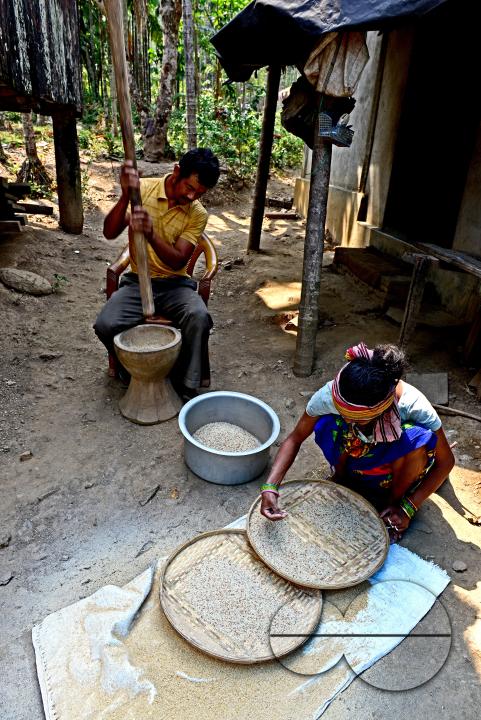 Totos are one of the most primitive communities in the world and this isolated tribal group resides only in Totopara at the foot of the Himalayas just to the borderline between West Bengal and Bhutan
