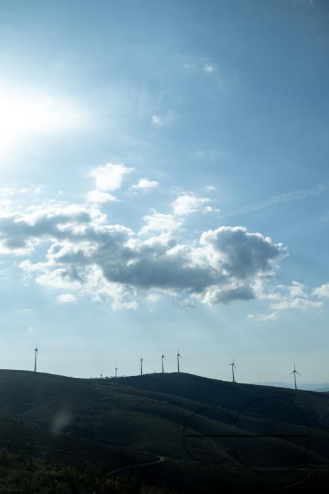 MWC053567
