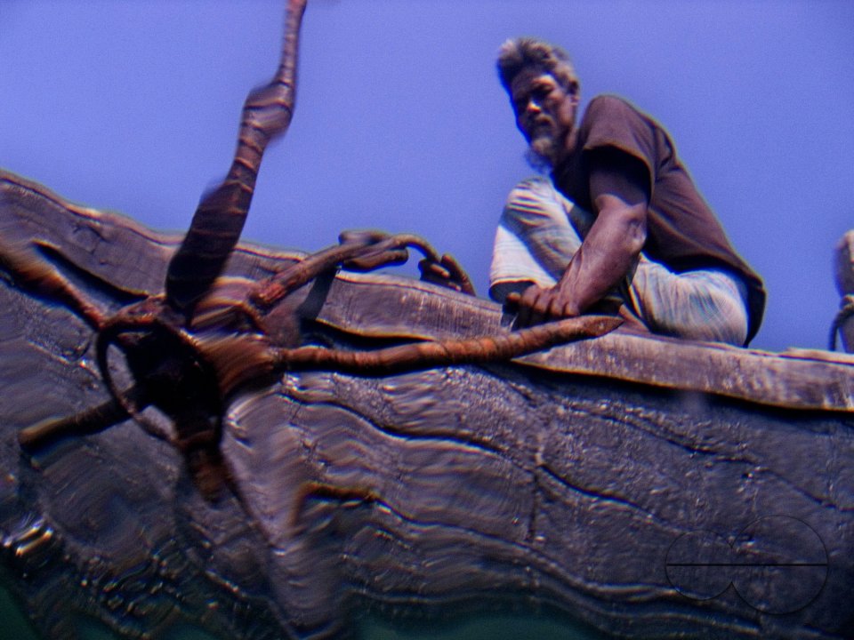 Looking through Fish-Eyes