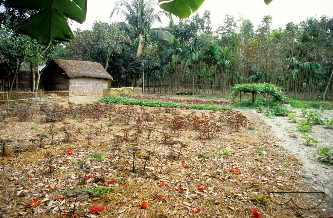MWC03037