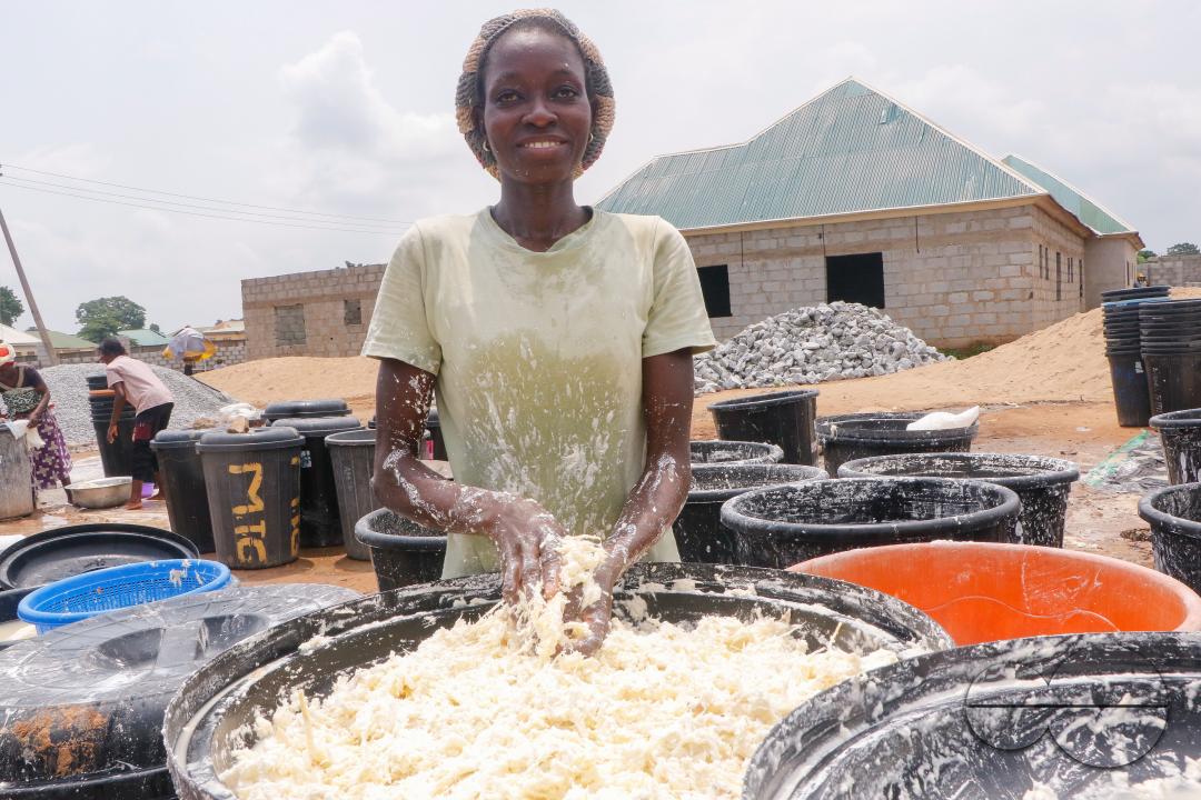 Females in Abuja are struggling and making strides in a local cassava processing factory under difficult conditions to produce flour as they wash out chaff from fermented cassava
