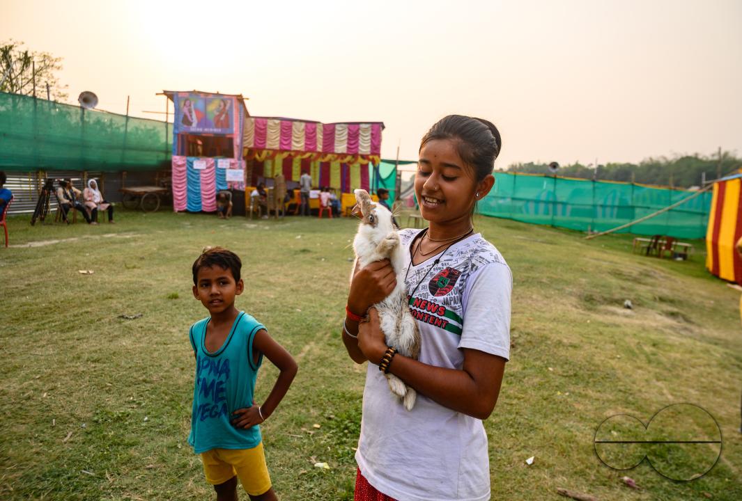 A young village girl and her brother visit the fair with their pet rabbit